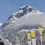 Hahnenblick Hotel