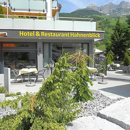 Hahnenblick