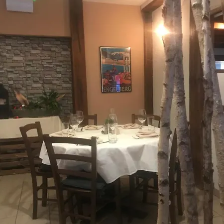 فندق Hahnenblick انغلبرغ