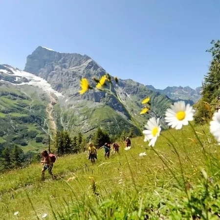 Hahnenblick